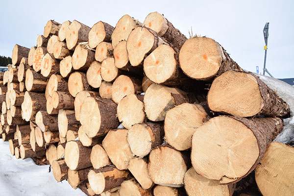 Sports Wood Flooring Factory 1