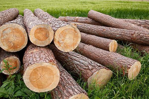 Sports Wood Flooring Factory 2