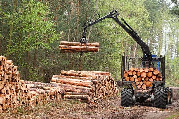 Sports Wood Flooring Factory 3