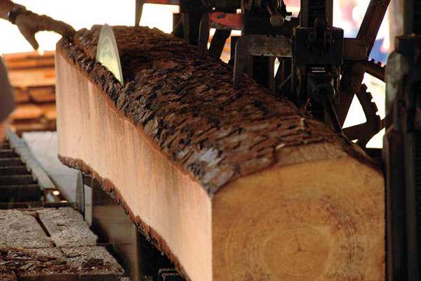 Sports Wood Flooring Factory 4